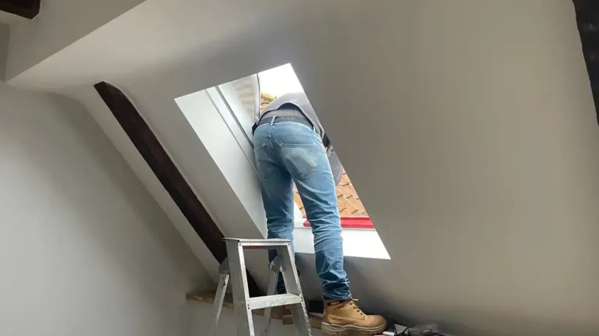 Remplacement Velux Lyon